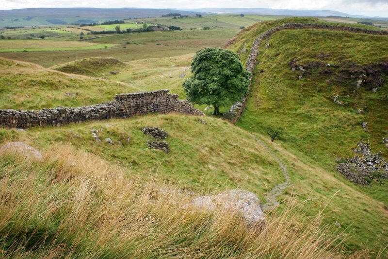 Hexham: Hadrians Wall and The Romans Full Day Guided Tour - Inclusions