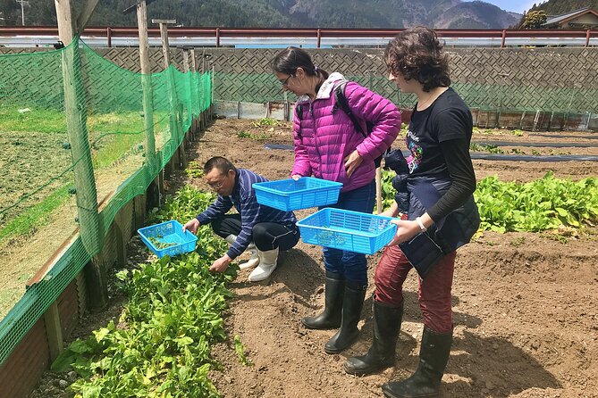 Hida Private E-Bike Tour With Premium Lunch and Farm Experience - Restrictions