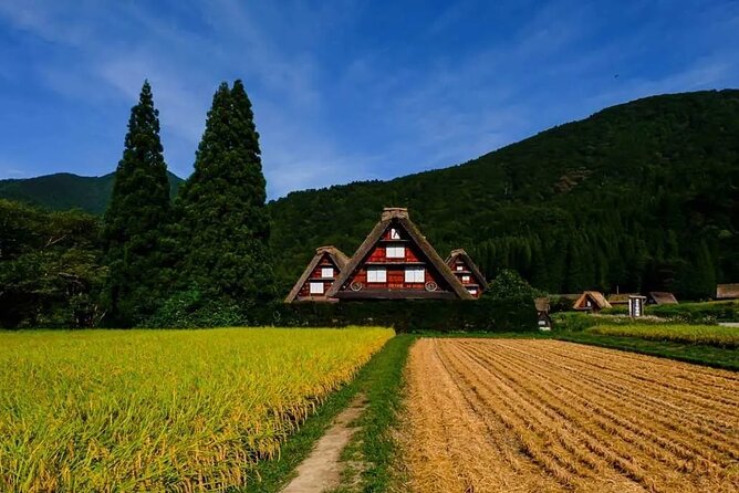 Hida Takayama and Shirakawago One Day Bus Tour From Nagoya - Discovering Shirakawago