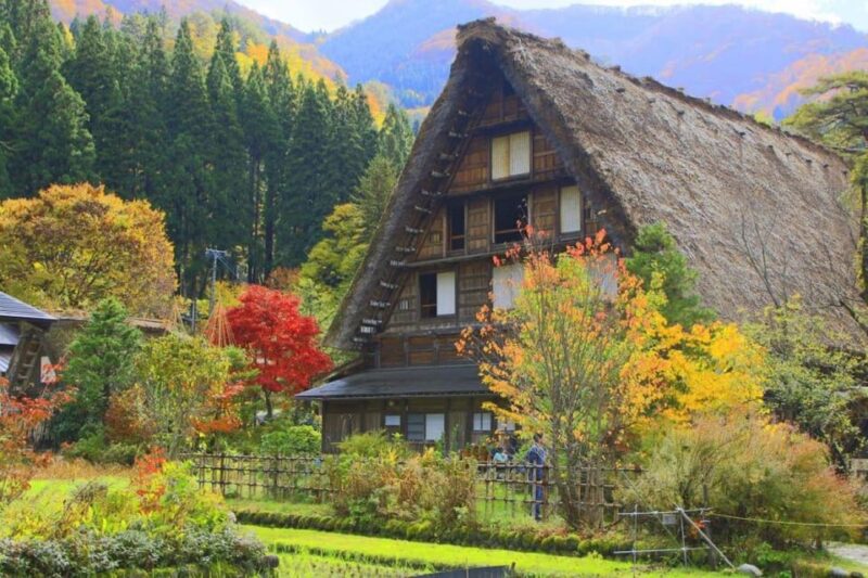 Hida Takayama, Shirakawa-Go+Observatory|Day Trip From Nagoya - Culinary Experience