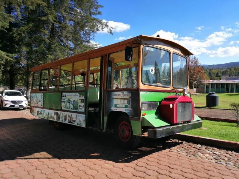 Hidalgo: Tram Tour of Elves, Prisms, and Haciendas - Cultural and Historical Exploration