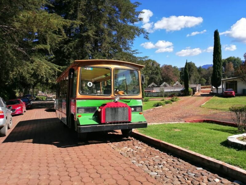 Hidalgo: Tram Tour of Elves, Prisms, and Haciendas - Frequently Asked Questions