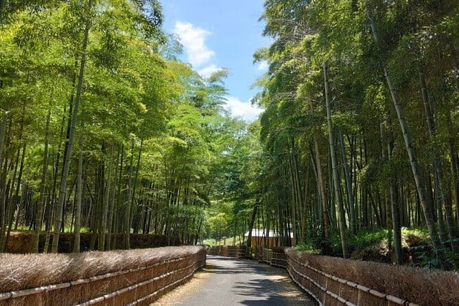 Hidden Bamboo Gem and Japanese Foods in Izakaya Private Tour - Meeting and Transportation