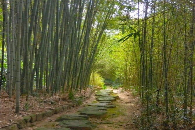 Hidden Bamboo Gem and Japanese Foods in Izakaya Private Tour - Inclusions and Experience