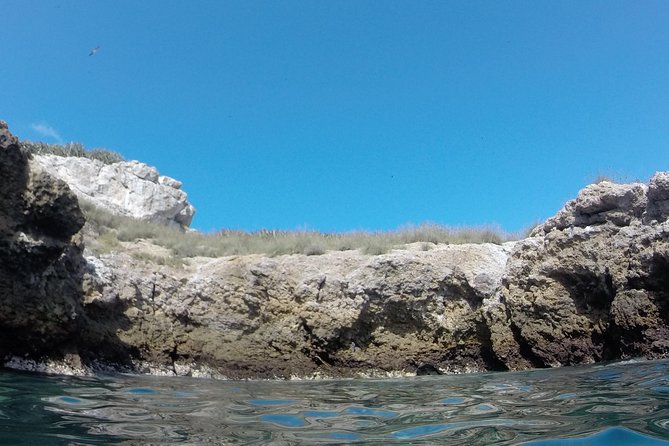 Hidden Beach Marietas Islands Experience - Tour Group Size and Restrictions