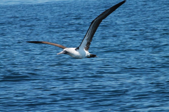 Hidden Beach Marietas Islands Experience - Discover Playa Del Amor