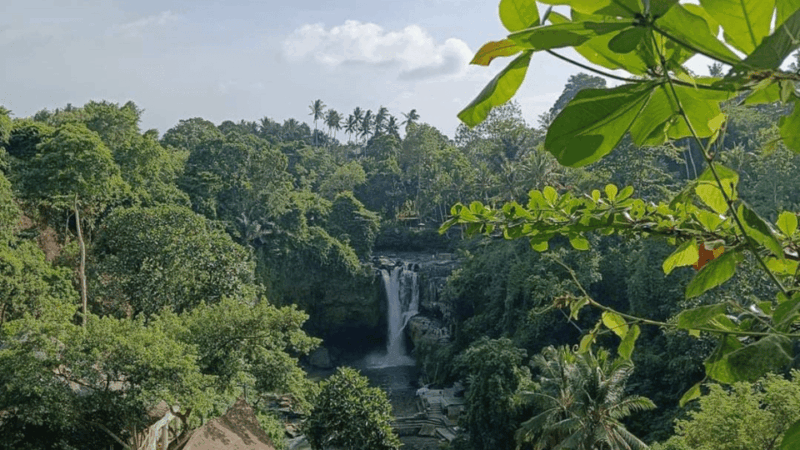 Hidden Beauty of Bali East Tour Attraction - Cultural Immersion and Activities