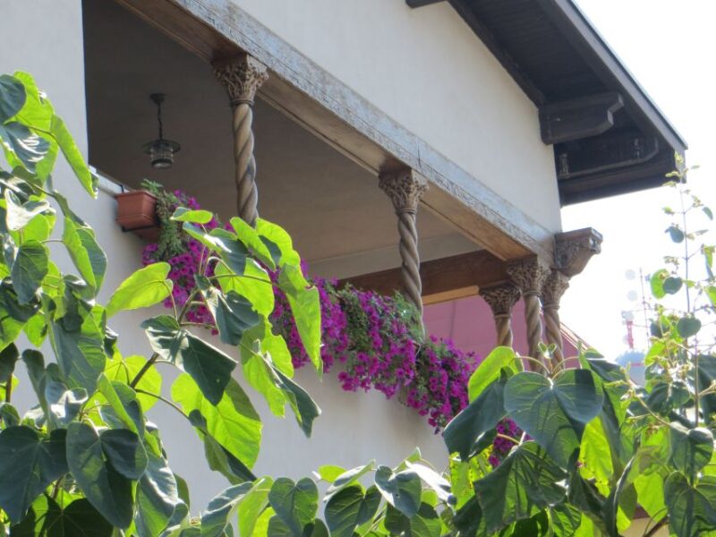 Hidden Bucharest | 3 Hours Private Walking Tour - Booking Information