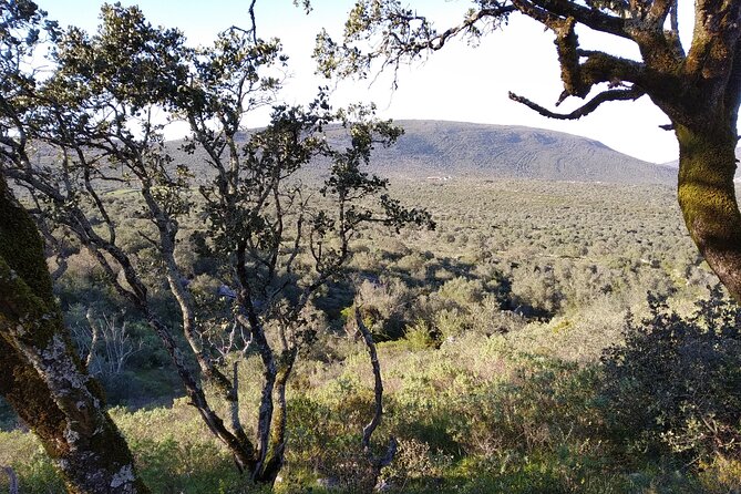 Hidden Charms: Private Nature Expedition in Serra Dos Candeeiros - Unparalleled Natural Wonders