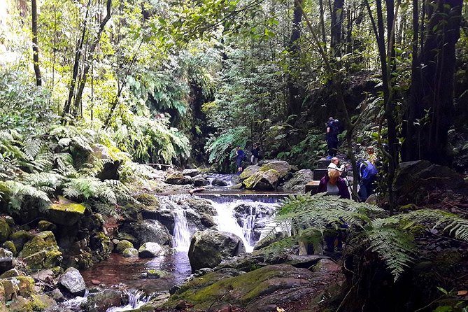 Hidden Corners: Levada Walk From Funchal - Levada Hike Itinerary and Duration