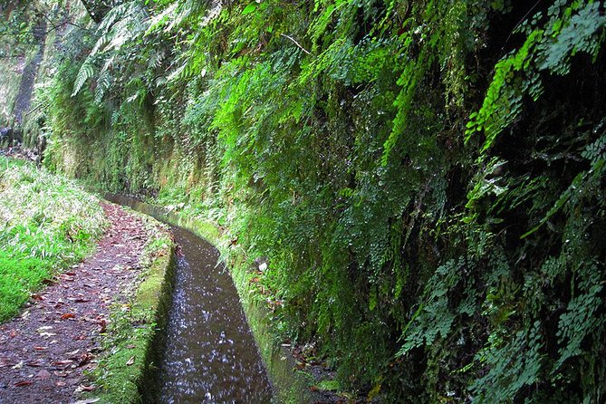 Hidden Corners: Levada Walk From Funchal - Recommended Attire and Provisions