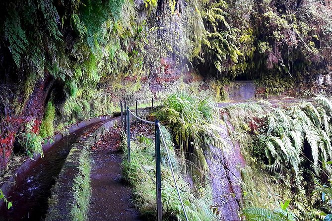 Hidden Corners: Levada Walk From Funchal - Tour Accessibility and Restrictions