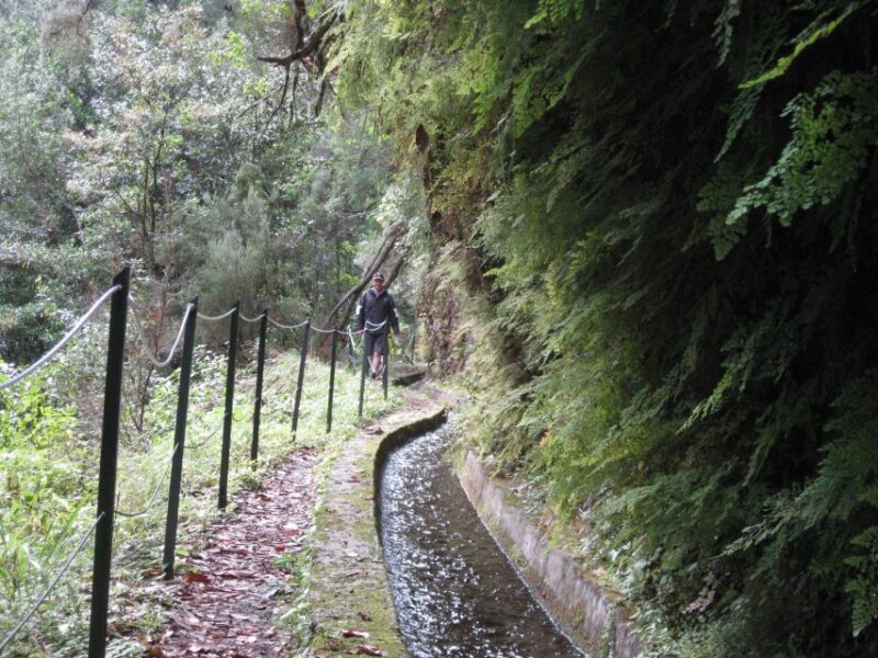 Hidden Corners, the Kings Levada Full Day Hike - Transportation and Pickup