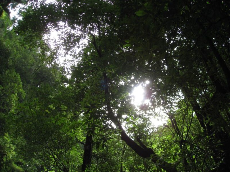Hidden Corners, the Kings Levada Full Day Hike - Hike Itinerary