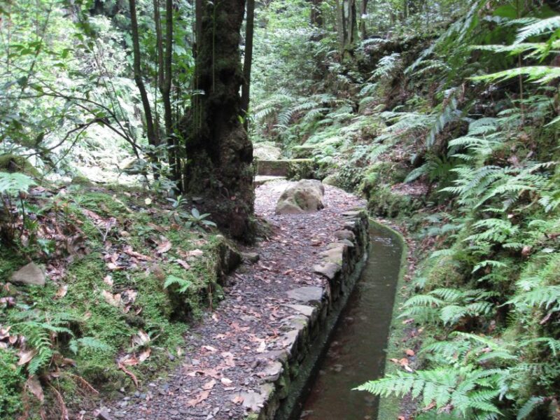 Hidden Corners, the Kings Levada Full Day Hike - What to Bring