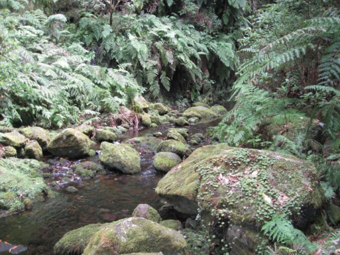 Hidden Corners, the Kings Levada Full Day Hike - Customer Feedback