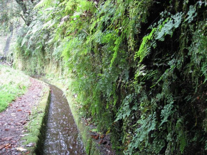 Hidden Corners, the Kings Levada Full Day Hike - Frequently Asked Questions