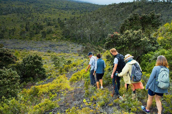 Hidden Craters Hike - Meeting and Pickup