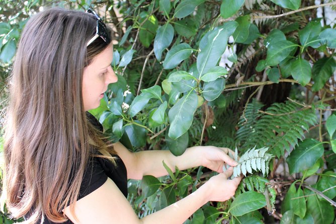 Hidden Culture of Central Auckland, Walk and Morning Tea - Booking Information
