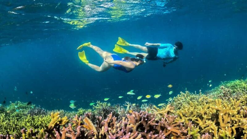 Hidden East Gili's Lombok Private Snorkeling Tour - Discovering Lombok’s Natural Treasures: A Comprehensive Review