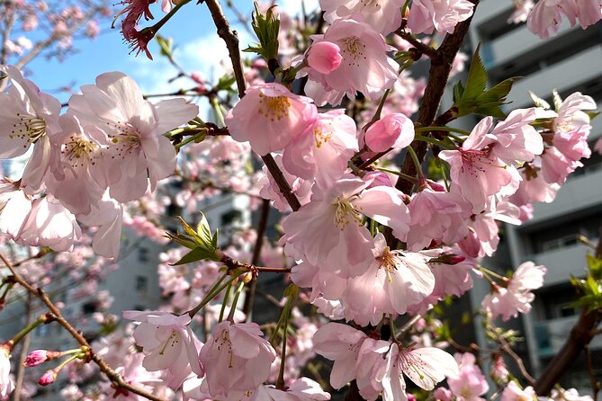 Hidden Gem Food & Whiskey Night Tour Near Roppongi - Inclusions and Highlights