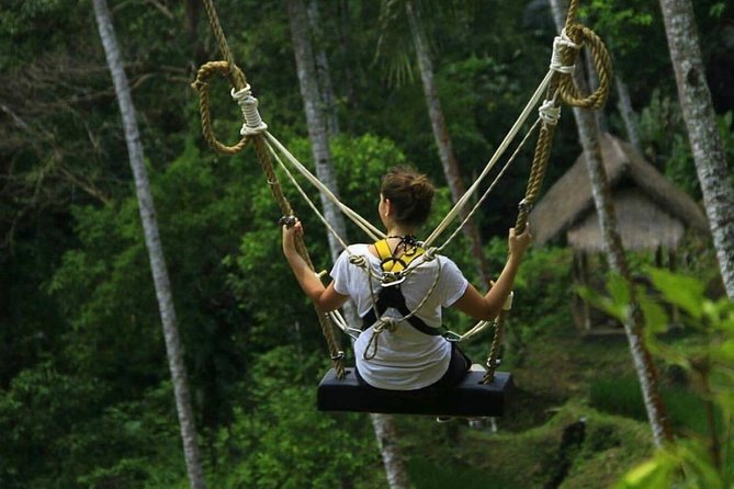 Hidden Gem Waterfall, Ancient Temple and Purification Ritual Tour - Private Transportation and Pickup