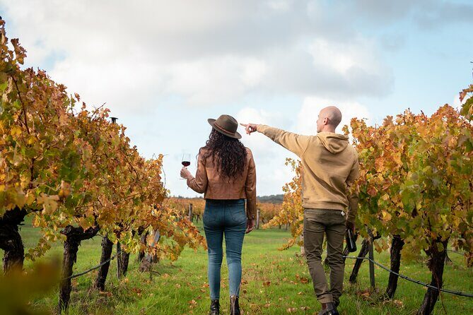 Hidden Gems: Boutique Full-Day Wine, Farm & Lunch Tour - Key Points