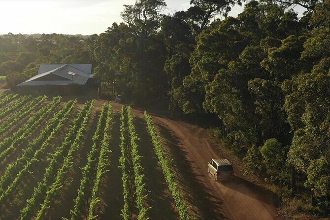Hidden Gems: Boutique Full-Day Wine, Farm & Lunch Tour - The Value Proposition: Why This Tour Stands Out