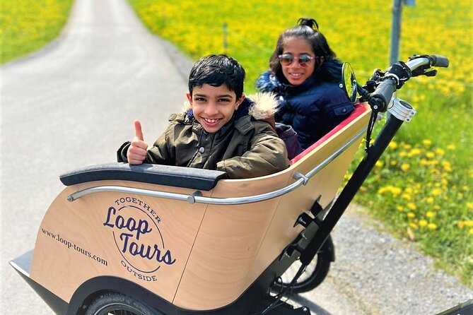 Hidden Gems E-Bike Tour With Picnic at Lake Brienz - Small-Group Adventure
