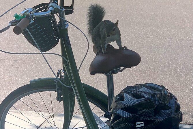 Hidden Gems Foodie Bicycling Tour of Downtown St Petersburg - FAQ