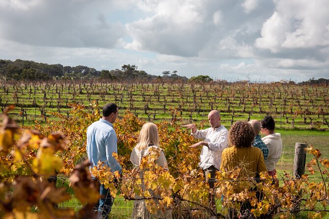 Hidden Gems: Full-Day Wine, Scones, Local Produce and Nature Tour - Key Points