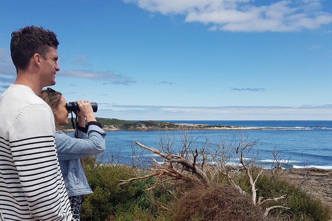 Hidden Gems: Full-Day Wine, Scones, Local Produce and Nature Tour - Meeting and Pickup