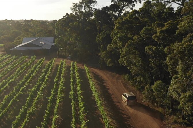 Hidden Gems: Full-Day Wine, Scones, Local Produce and Nature Tour - Local Produce and Nature