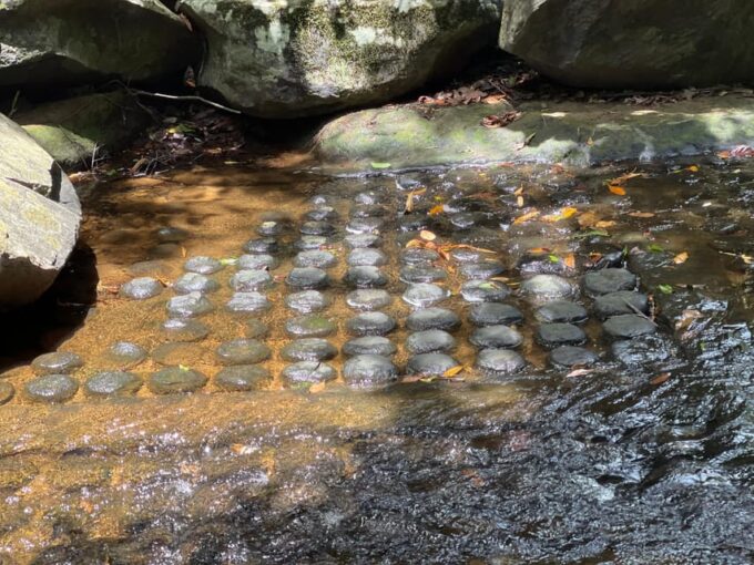 Hidden Gems of Cambodia: Kbal Spean and Banteay Srei Temple - Photography Opportunities