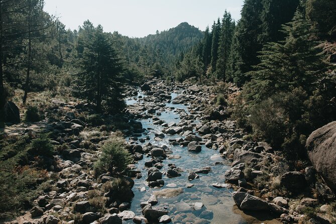 Hidden Gems of Peneda-Gerês National Park on a Full-Day Tour - Scenic Highlights