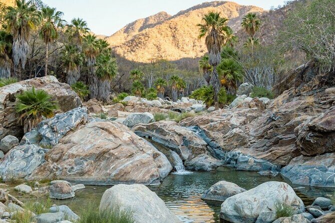 Hidden Gems of Sierra Laguna: El Triunfo and Natural Springs. - A Closer Look at the Itinerary and What You’ll Experience