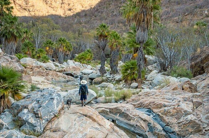 Hidden Gems of Sierra Laguna: El Triunfo and Natural Springs. - Real Feedback from Travelers