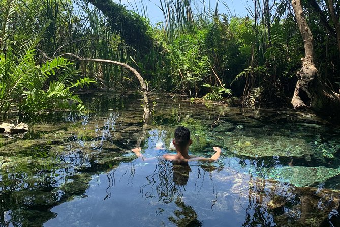 Hidden Gems of the North, Puerto Rico Private Tour - About Your Stay