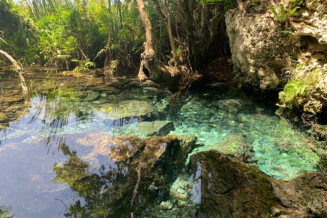 Hidden Gems of the North, Puerto Rico Private Tour - Health and Safety Considerations