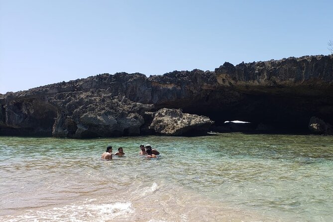 Hidden Gems of the North, Puerto Rico Private Tour - Highlights From Reviews