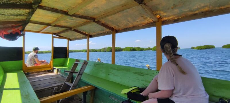 Hidden Gilis Lombok Snorkeling Daily Tour - Key Points