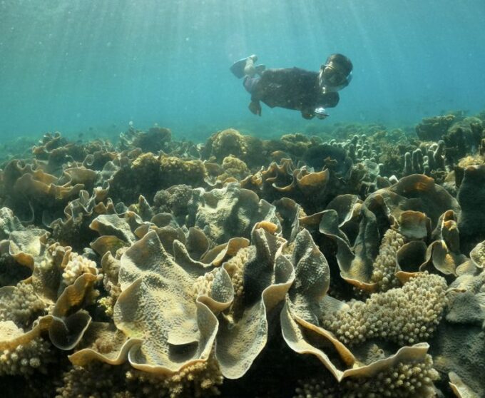 Hidden Gilis Lombok Snorkeling Daily Tour - Pickup and Drop-off Locations