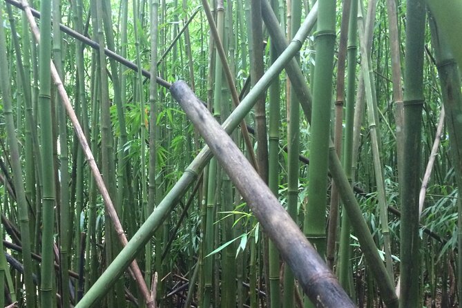 Hidden Hawaii Tours - Customer Feedback