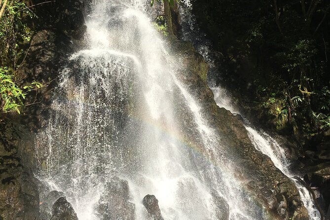 Hidden Hawaii Tours - Location and Accessibility