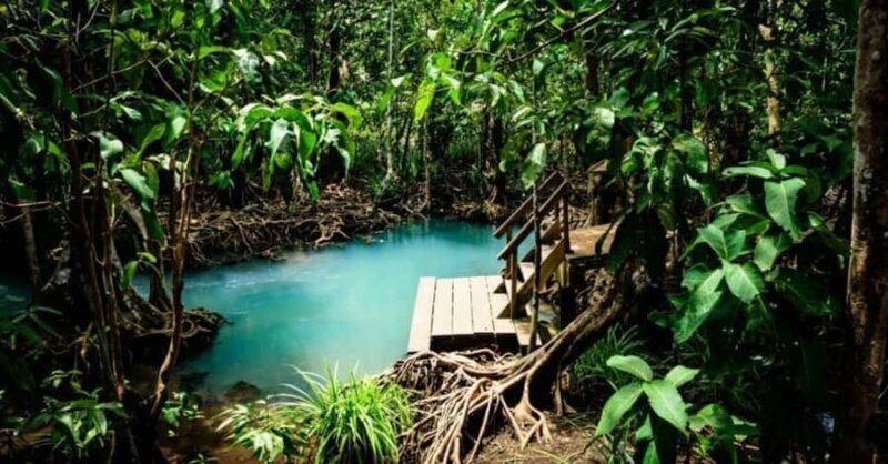 Hidden Lagoon Kayak & Thai Massage  Krabi Wellness Escape - Real Traveler Perspectives
