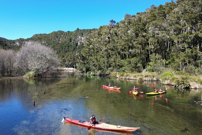 Hidden Lake Kayak Tour in Taups Secret Gem - Why is this experience special?