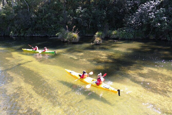 Hidden Lake Kayak Tour in Taups Secret Gem - What do travelers say?