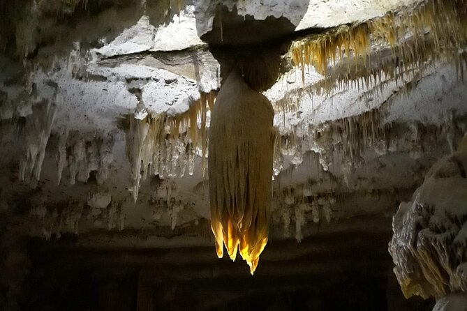 Hidden Mallorca: Sea Caving Adventure - Accessibility and Fitness Requirements