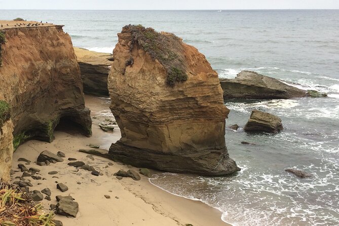 Hidden Nature Walks in the City Private Tour - Inclusions