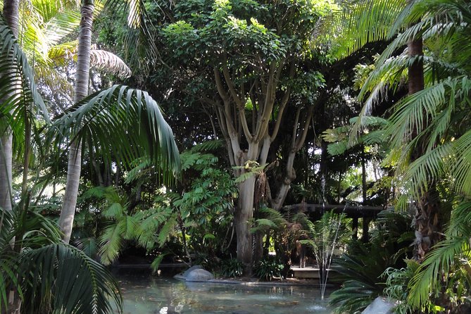 Hidden Nature Walks in the City Private Tour - Meeting and End Points